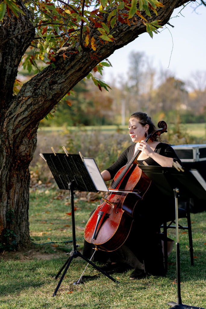 Strings playing at a wedding at The Pinecroft Estate in Cincinnati